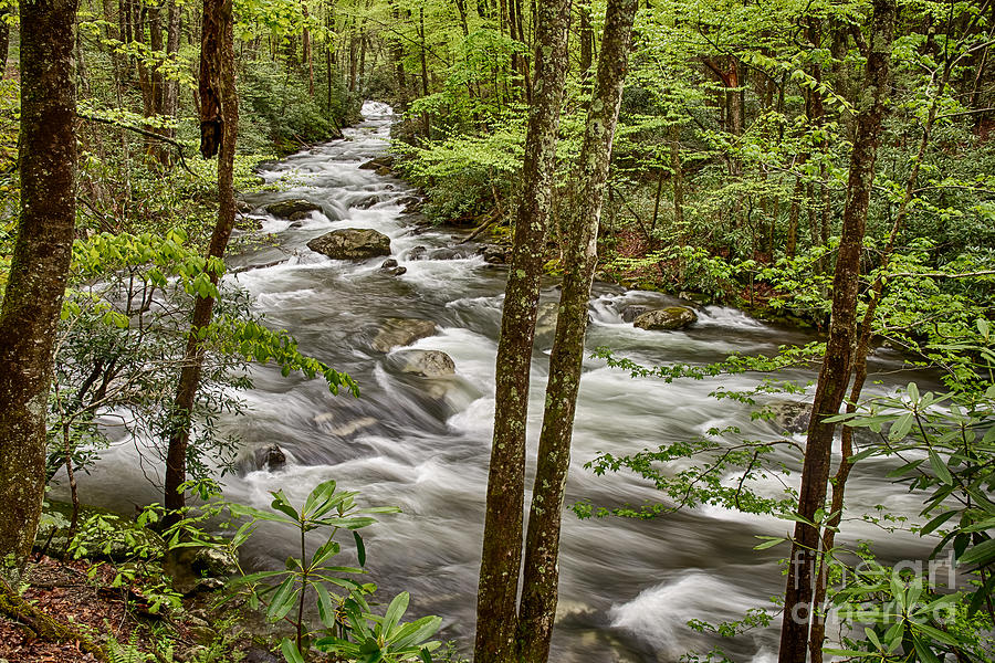 Tremont and the River in the Smoky Mountains National Park Photograph by Jimmy Pappas
