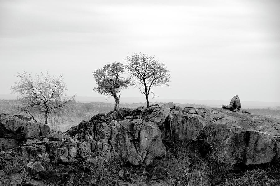 Trio Photograph by Mia Badenhorst