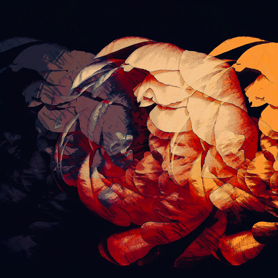 Trois Digital Art by Canessa Thomas