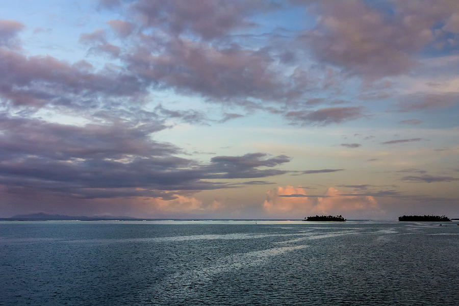Tropical Twilight Photograph by Craig A Walker