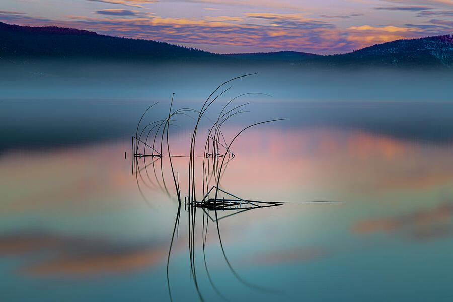 Frozen Reeds at Dawn - Eagle Lake - Lassen County California Photograph by Mike Lee