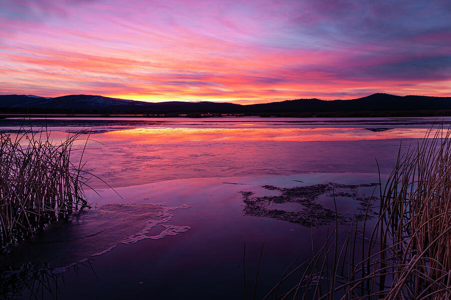 Tule Sunset Photograph by Mike Lee