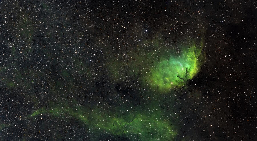 Tulip Nebula by Brian Weber