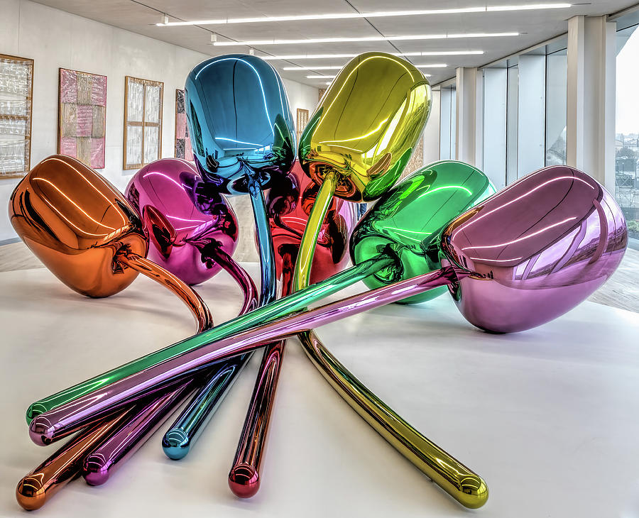 Colorful Tulips Photograph by Elvira Peretsman