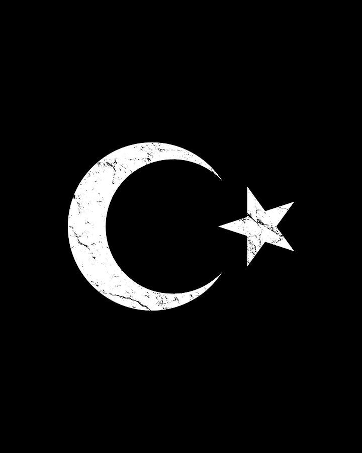 Turkey Flag Digital Art by Flippin Sweet Gear