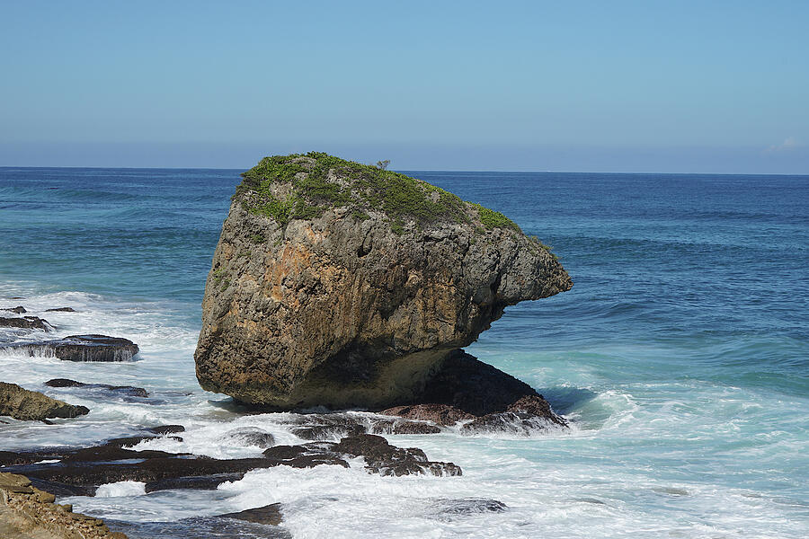 Coastal Rock Formation by Sea Photograph - Turtle Head Rock 1 by Richard Reeve