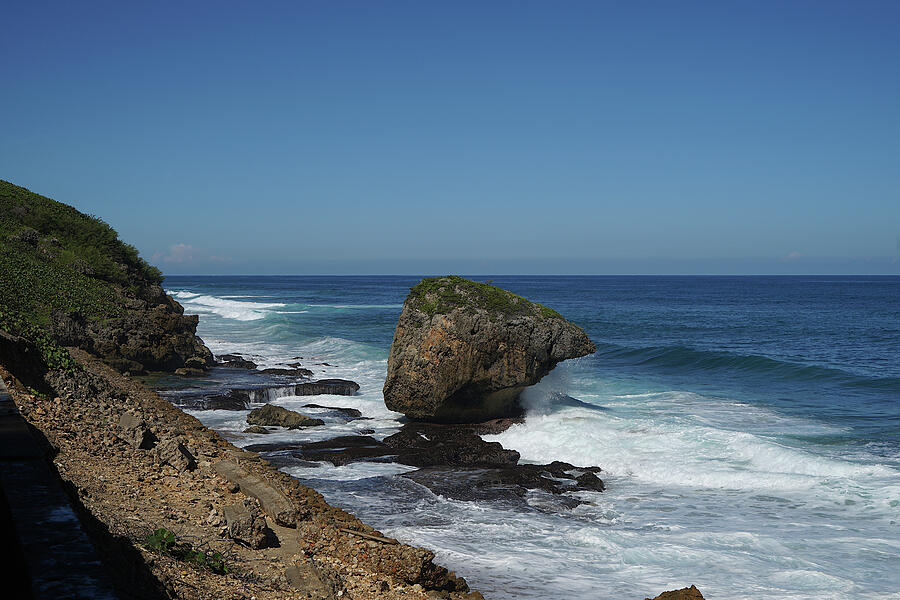 Rocky Shoreline with Ocean Waves Photograph - Turtle Head Rock 2 by Richard Reeve