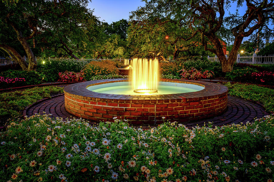 Twilight In The Garden. Photograph by Jeff Sinon