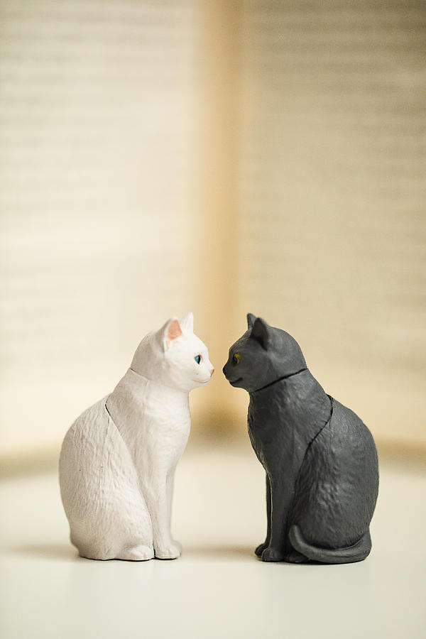 Two cat figurines facing each other Photograph by Kilito Chan