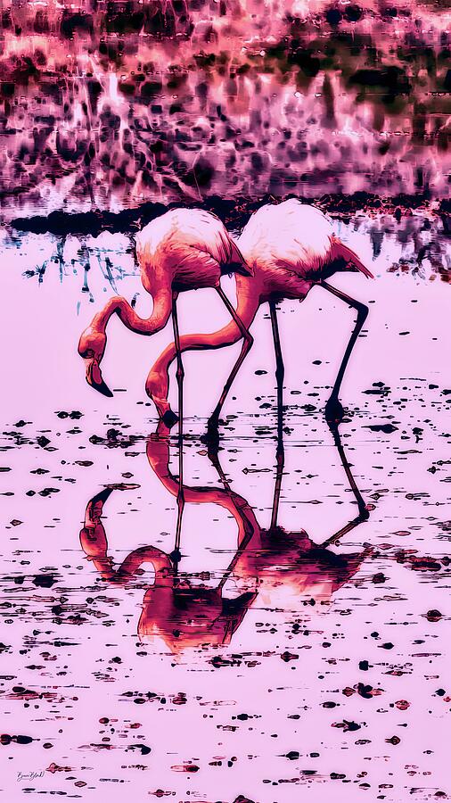 Two Flamingos Reflected in Water Digital Art - Two Flamingos Reflected in Water by Bruce Block