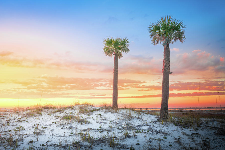 Two Palm Trees At Sunset Pensacola Florida by Jordan Hill