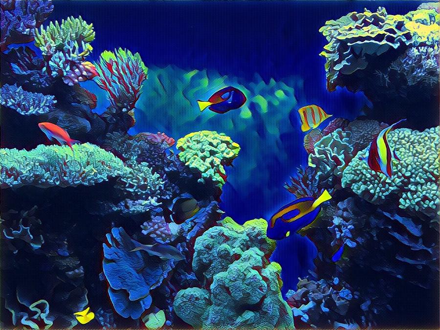Under the Sea Photograph by Juliette Becker