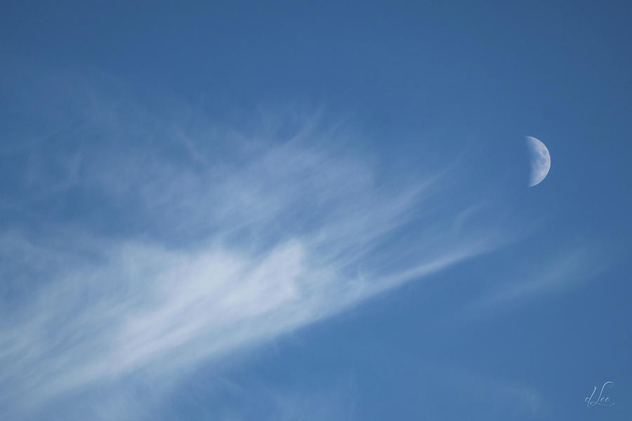 Unlimited Possibilities Photograph by D Lee