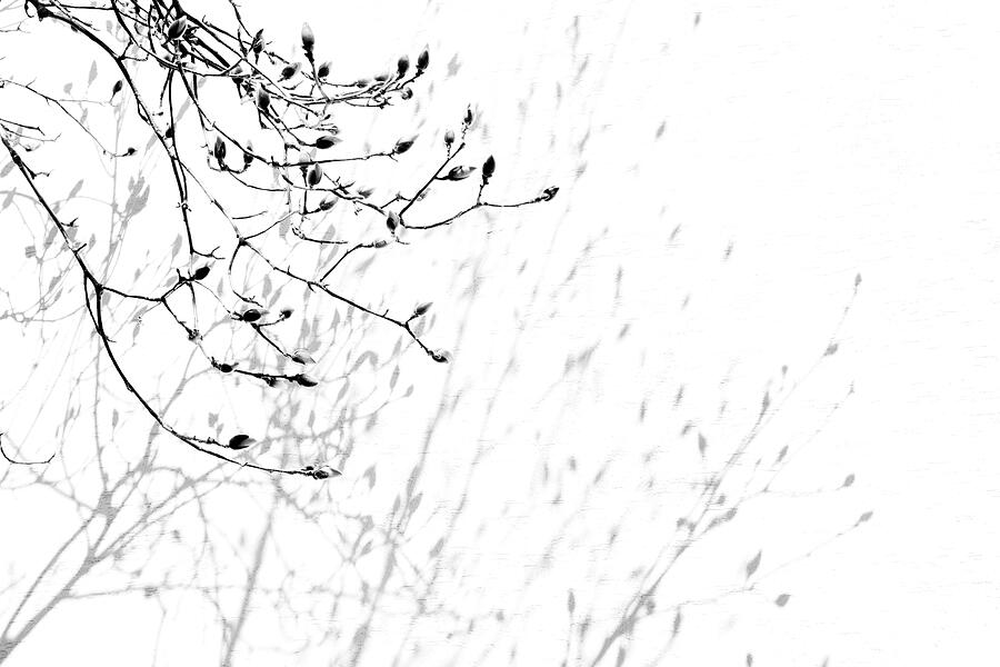 Unseen Photograph by Mia Badenhorst