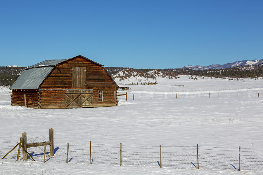 Unspoiled Beauty Photograph by Steve Templeton