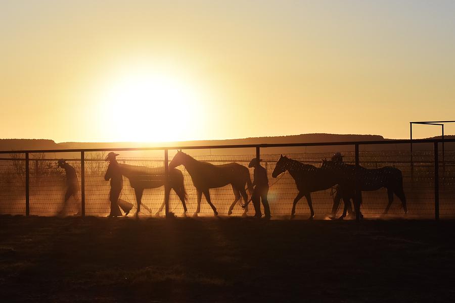 Up Before the Sun Photograph by Alden White Ballard