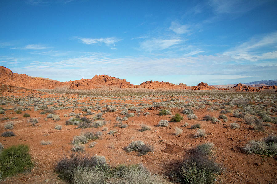 Valley of Fire - Vista #216 Photograph by Jonathan Babon