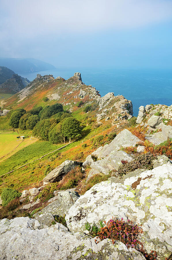 Valley of the Rocks, Exmoor National park near Lynton and Lynmouth, Devon, England, UK Photograph by Neale And Judith Clark