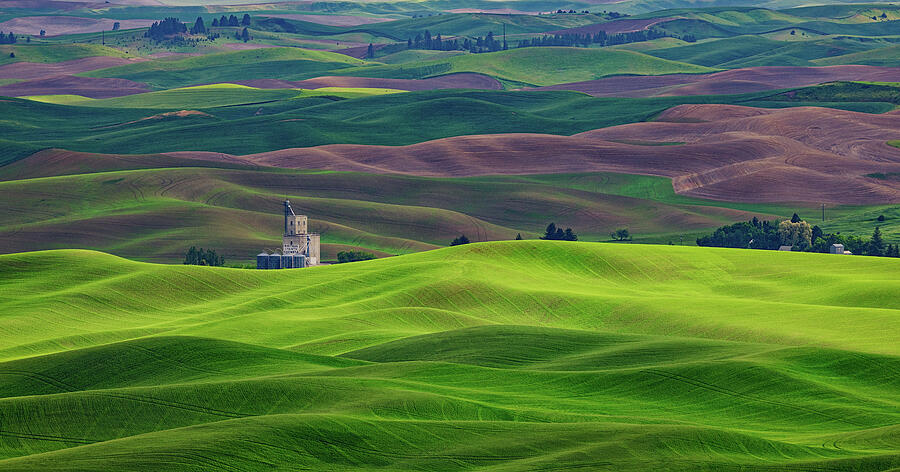 Rolling Hills in Sunlight Photograph - Velvet Hills of Whitman County by Kevin Schwalbe