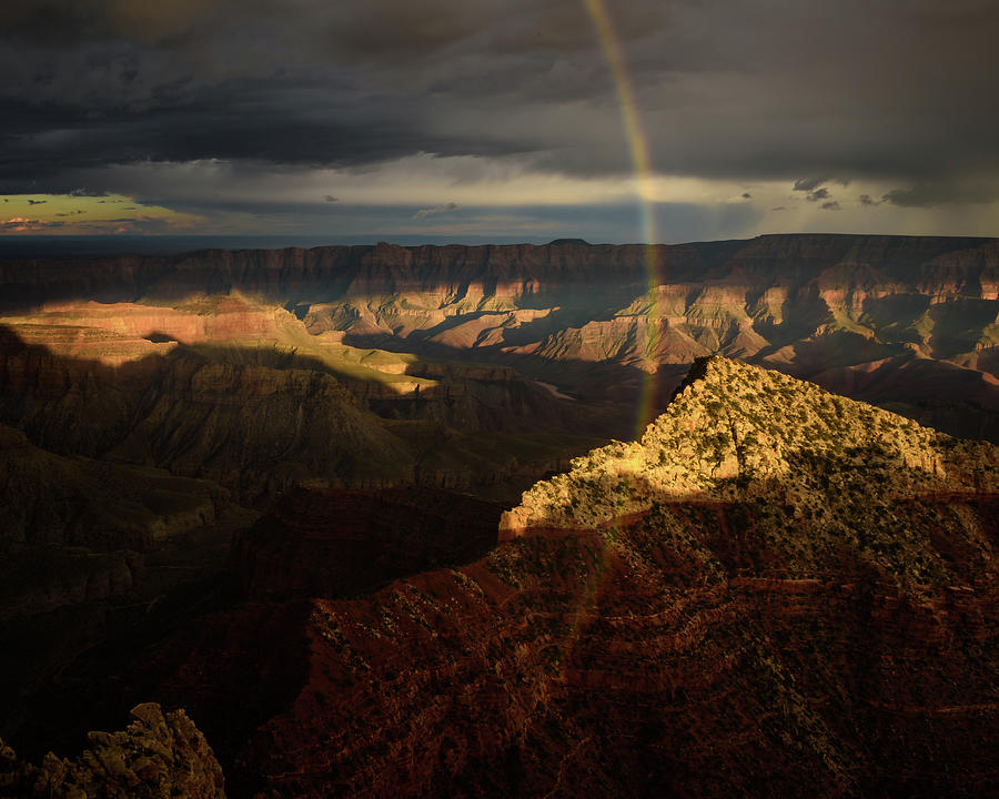 Vertical Rainbow Photograph by Matt Halvorson