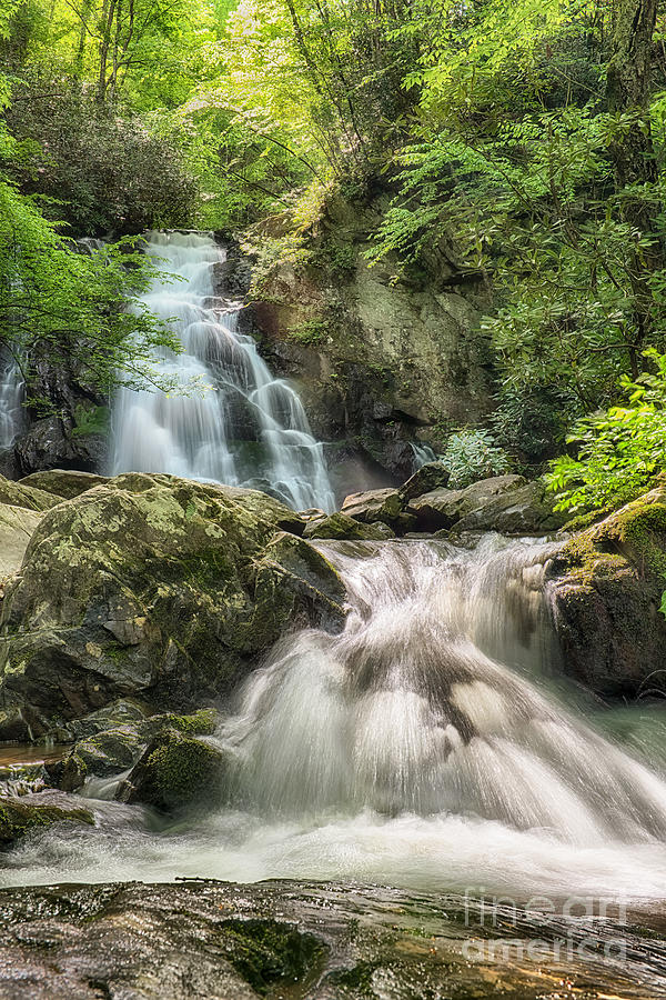 Spring at Spruce Flat Falls in the Great Smoky Mtns National  Park Photograph by Jimmy Pappas