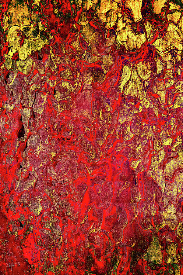 Vibrant Abstract Color Dynamics Digital Art - Vibrant Abstract Color tree bark by Bruce Block