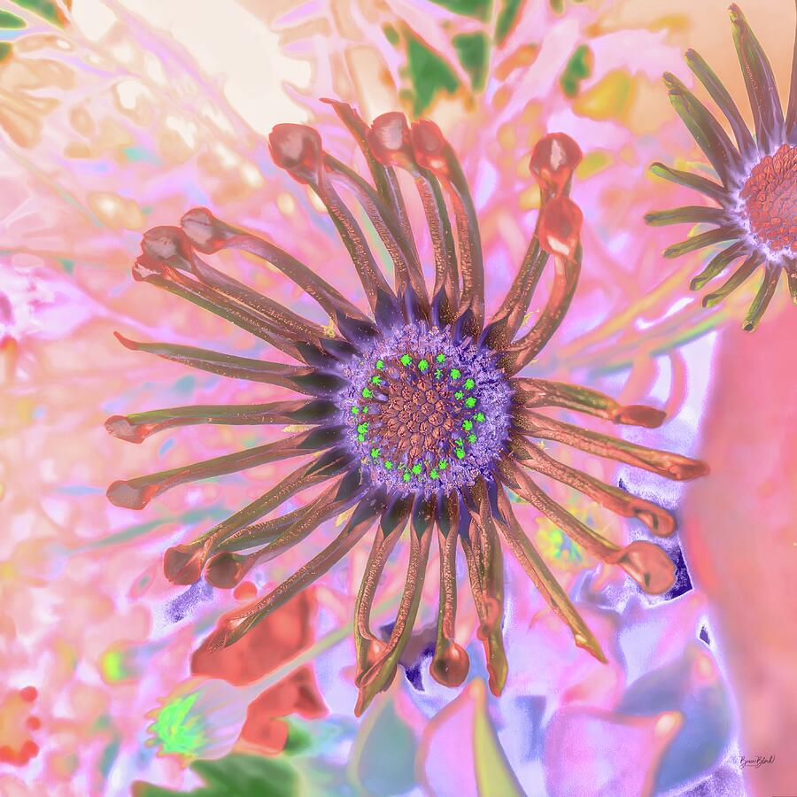 Vibrant Abstract Flower Close-up Digital Art - Vibrant Abstract Flower Close-up by Bruce Block