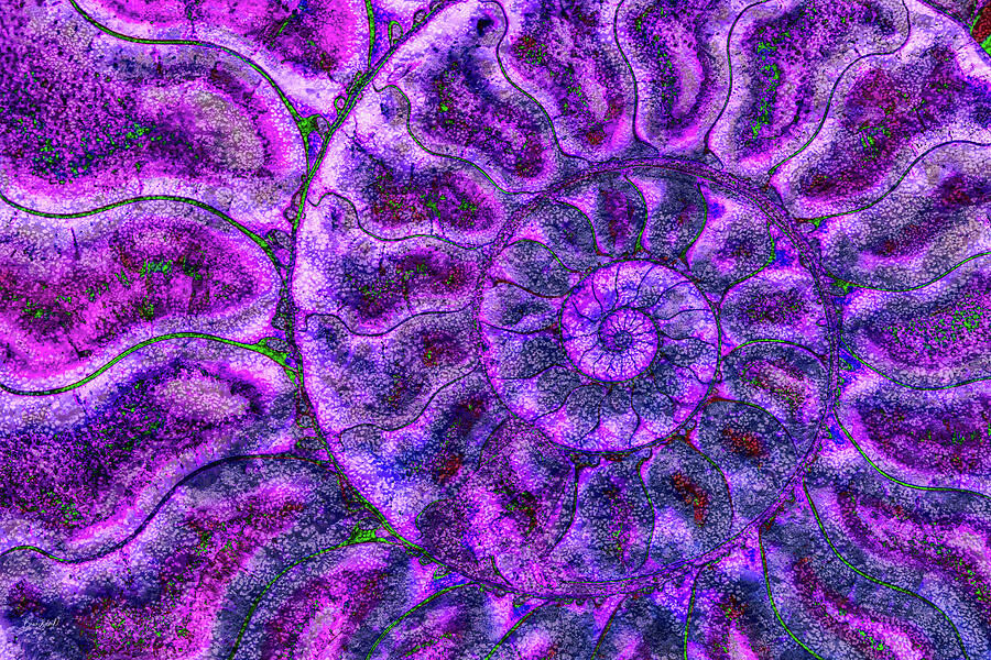 Vibrant Ammonite Spiral Digital Art - Vibrant Ammonite Spiral by Bruce Block