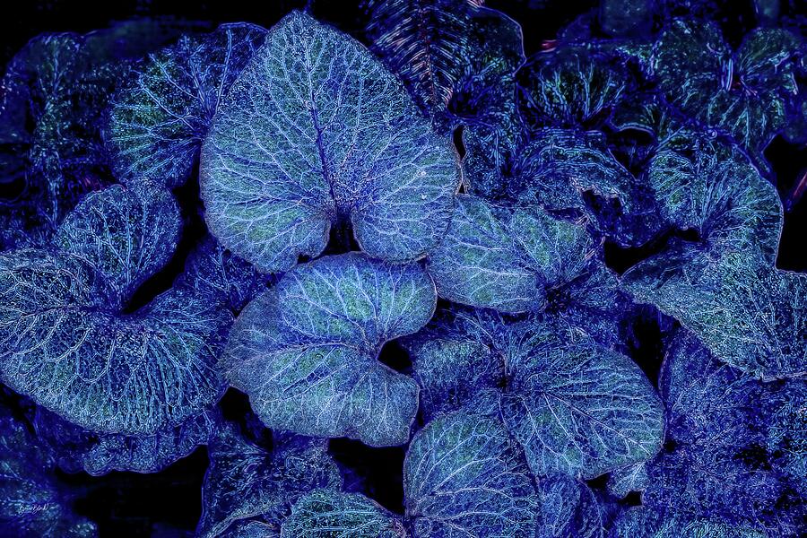 Vibrant Blue Foliage Digital Art - Vibrant Blue Foliage by Bruce Block