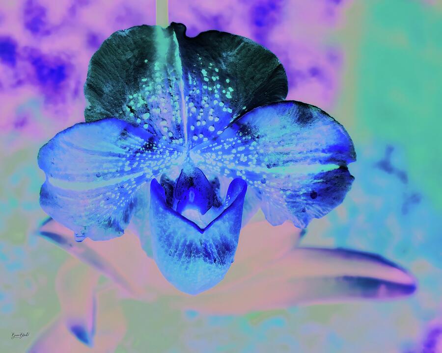 Vibrant Blue Orchid Digital Art - Vibrant Blue Orchid by Bruce Block