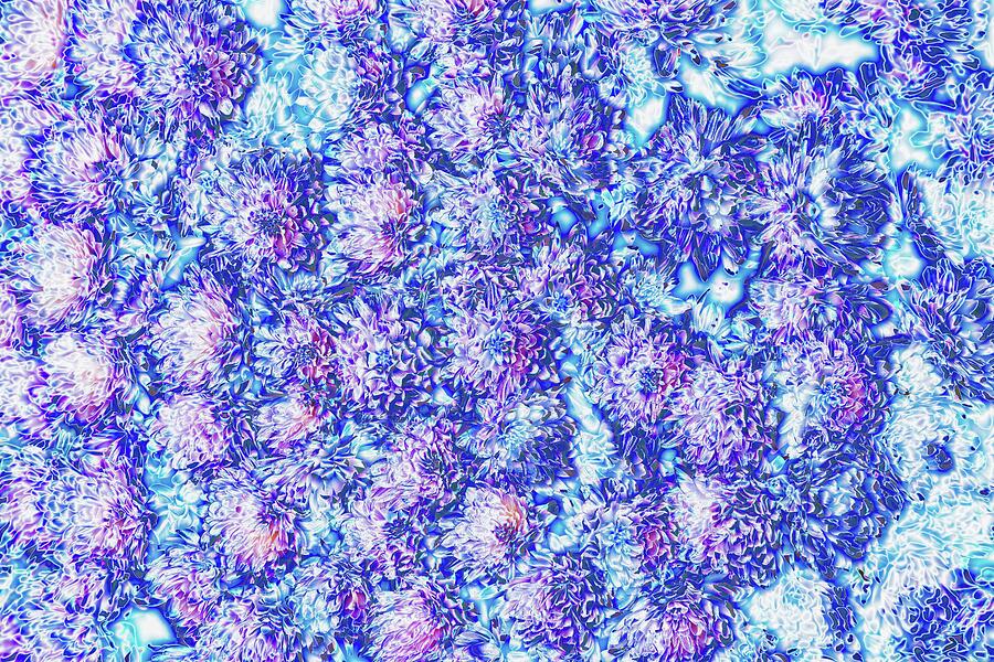 Vibrant Floral Abstraction Digital Art - Vibrant Floral Abstraction by Bruce Block