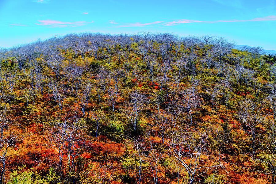 Vibrant Autumn Hillside Digital Art - Vibrant  Hillside by Bruce Block