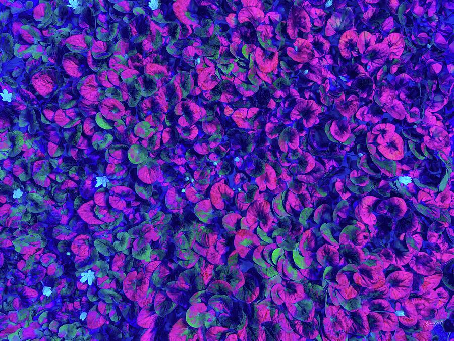 Vibrant Leaf Pattern Digital Art - Vibrant Leaf Pattern by Bruce Block