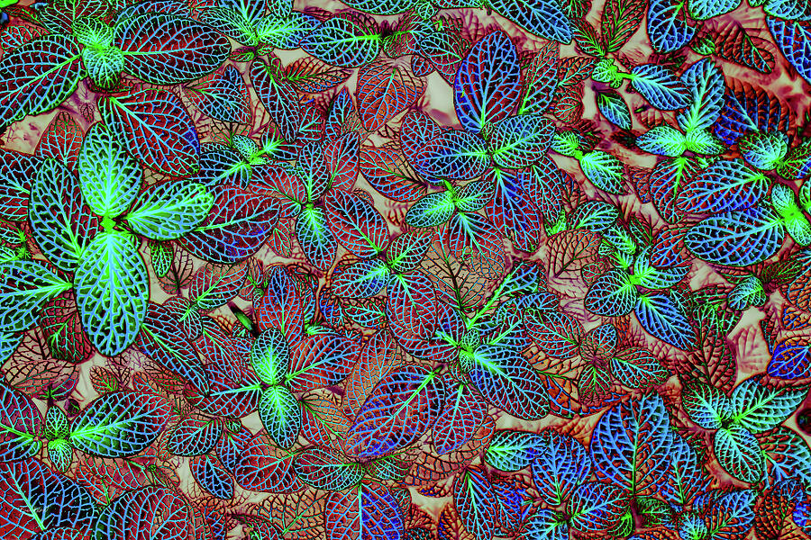 Vibrant Leaf Patterns Digital Art - Vibrant Leaf Patterns by Bruce Block