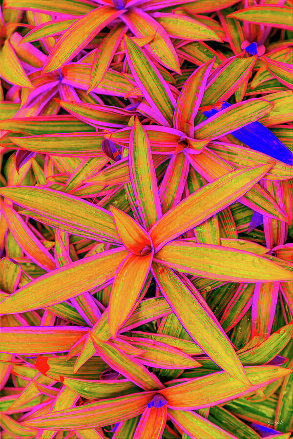 Vibrant Leaves in Bright Colors Digital Art - Vibrant Leaves in Bright Colors by Bruce Block