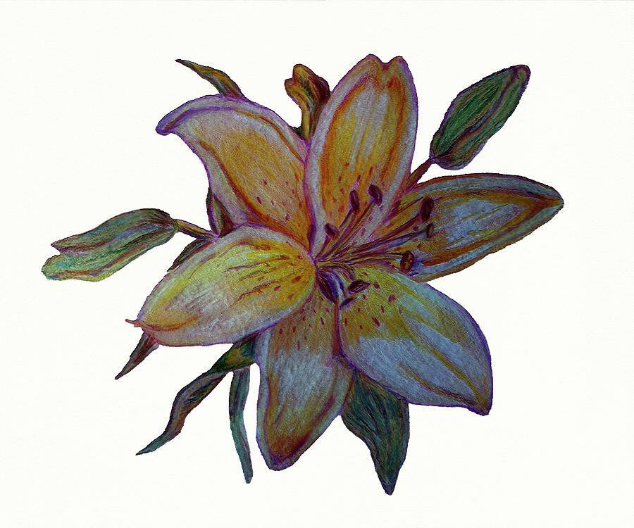 Vibrant Lily Bloom by Deborah League