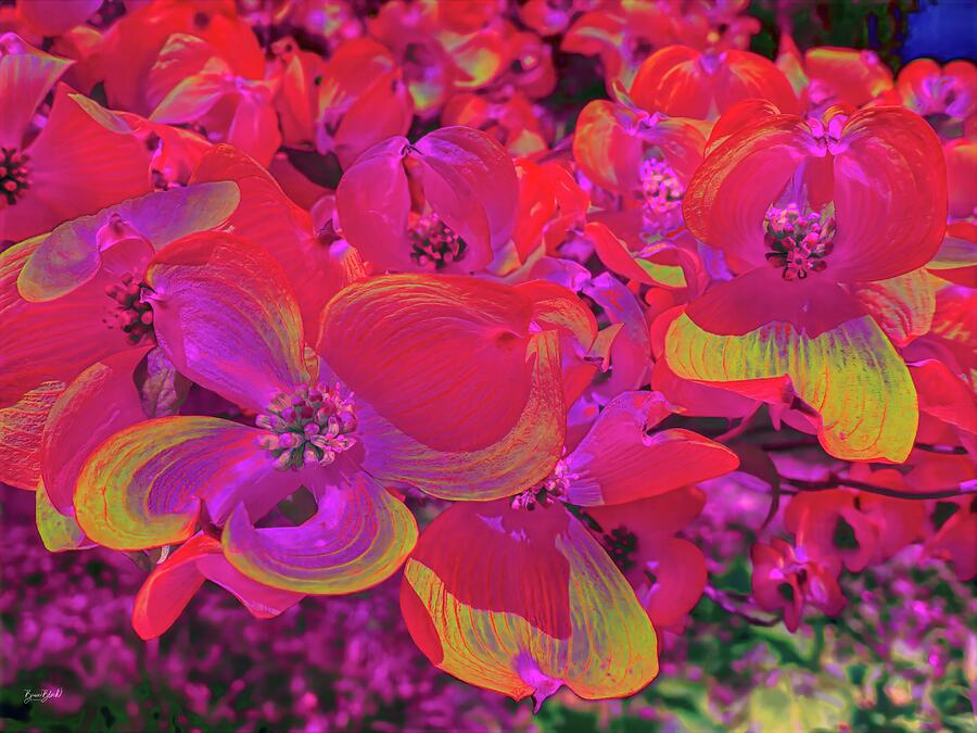 Vibrant Neon Blossoms Digital Art - Vibrant Neon Dogwood Blossoms by Bruce Block