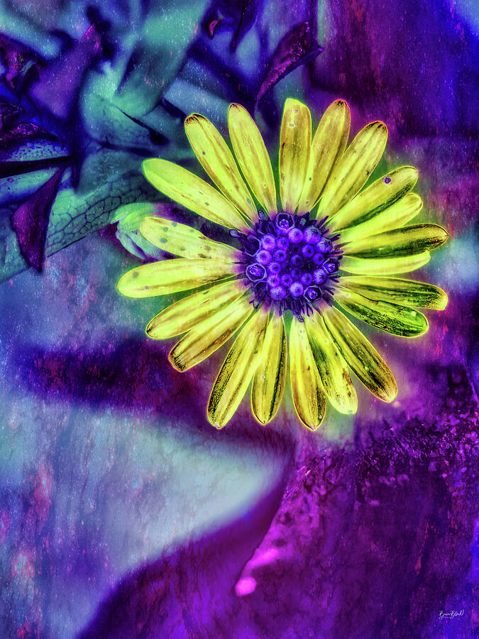 Vibrant Neon Flower Digital Art - Vibrant Neon Flower with galaxy texture by Bruce Block