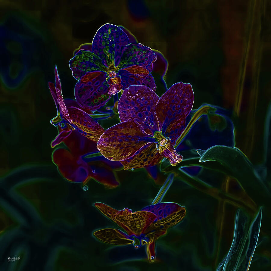 Vibrant Neon Orchids Digital Art - Vibrant Neon Orchids by Bruce Block
