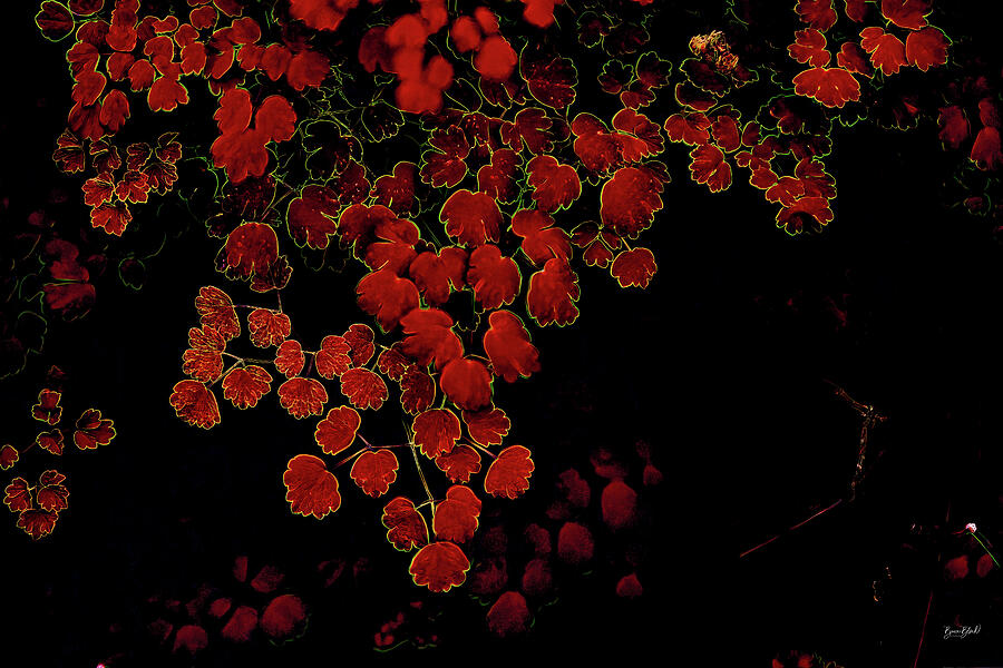 Vibrant Red Leaves in Darkness Digital Art - Vibrant Red Leaves in Darkness by Bruce Block