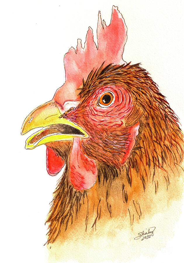Vibrant Rooster Profile Painting - Vibrant Rooster Profile by Shirley Dutchkowski