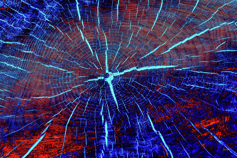 Vibrant Tree Rings Photograph - Vibrant Tree Rings by Bruce Block