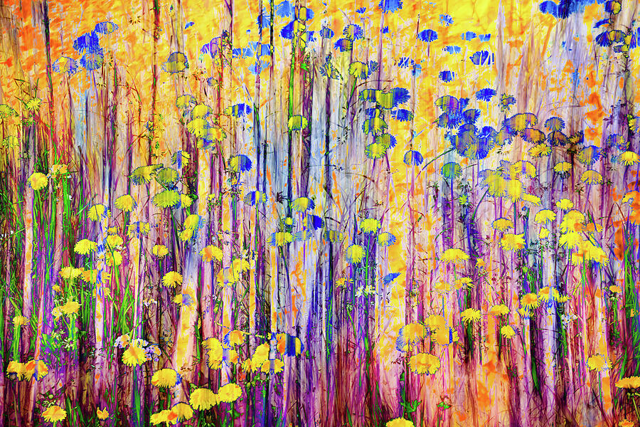 Vibrant Wildflower Garden Photograph - Vibrant Wildflower Garden by Elvira Peretsman