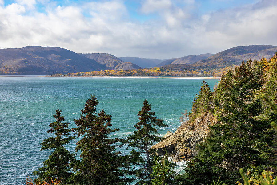 View from Middle Head Trail 1 by John Twynam
