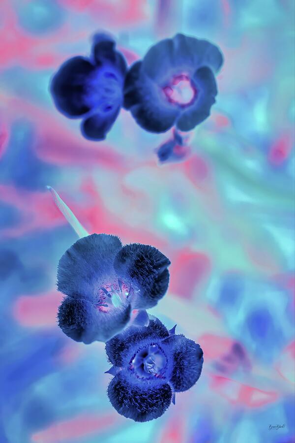 Vivid Blue Blossoms Digital Art - Vivid Blue Blossoms by Bruce Block