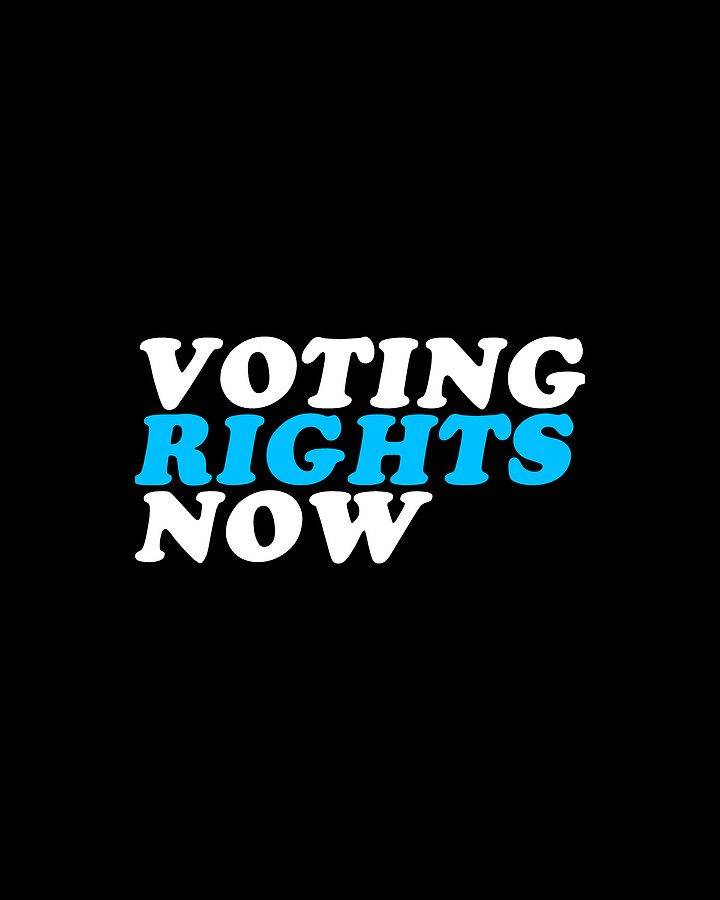 Voting Rights Now Digital Art by Flippin Sweet Gear