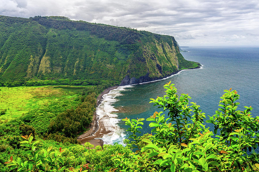 Waipio Valley Photograph by Abbie Warnock