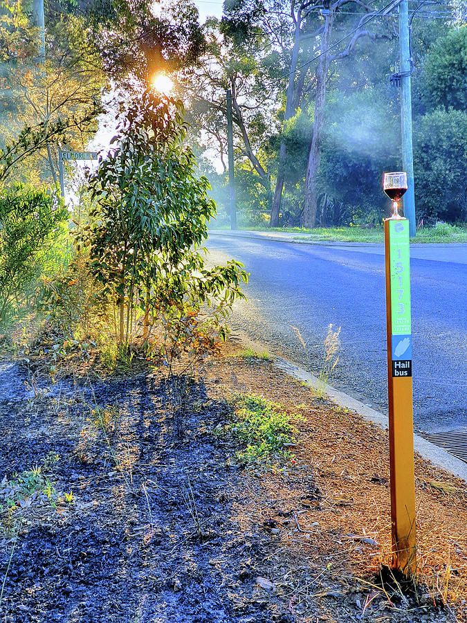Waiting for the bus Photograph by Jeremy Holton