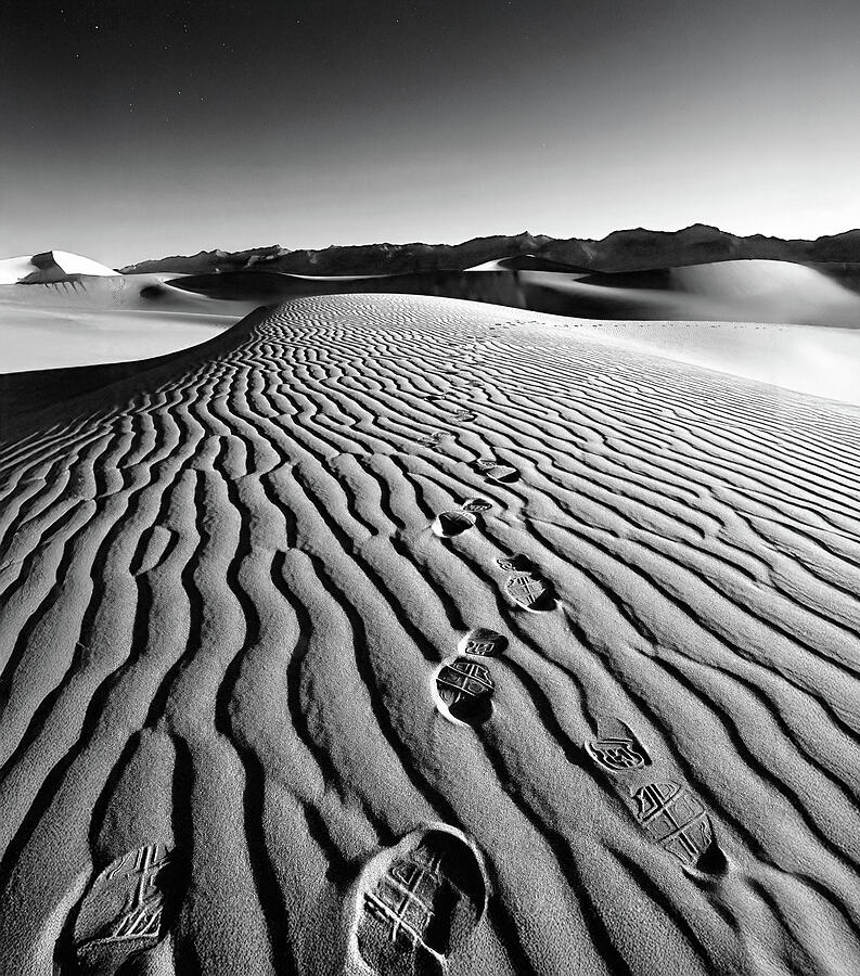Walk This Way Photograph by Joe Schofield