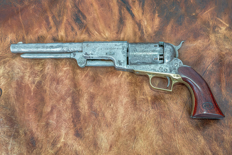 Walkers Walker.. Digital Art by Chris Allmendinger